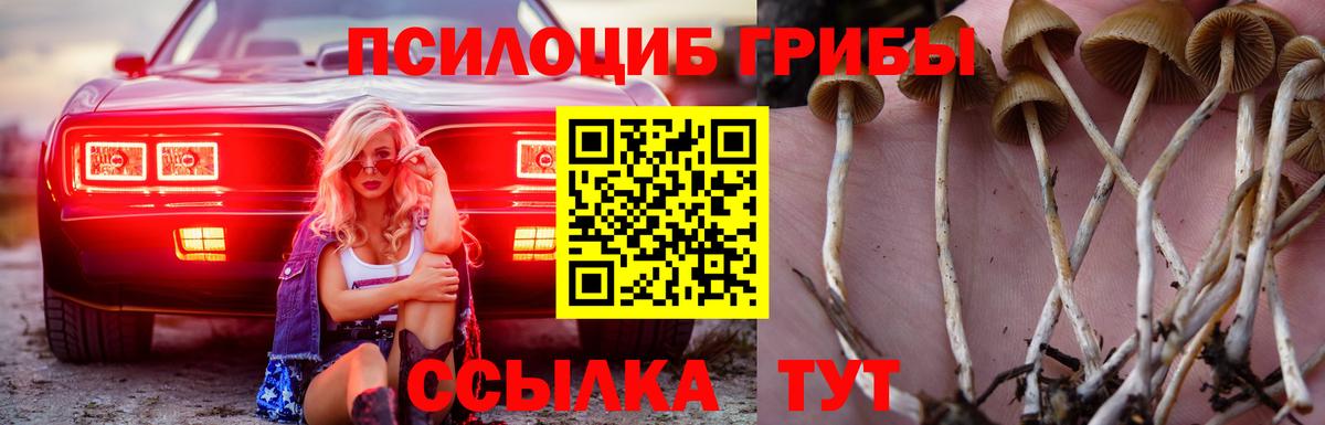 Галлюциногенные грибы мицелий  Галлюциногенные грибы мицелий  Вход с VPN  Конаково 